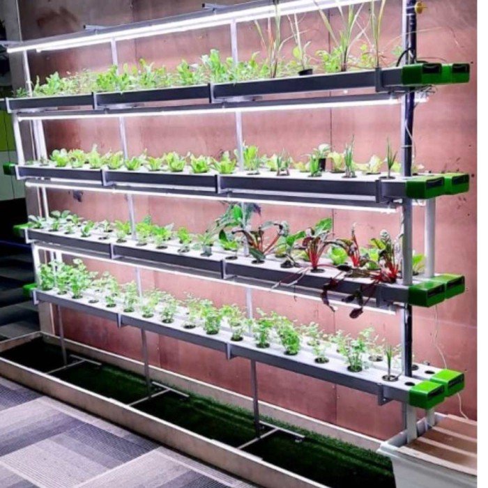 Efficient Indoor Cultivation Plant Hydroponics Setup